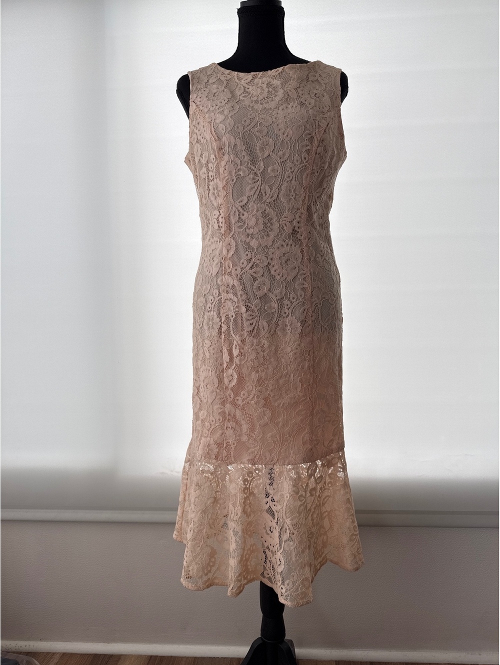 Eva Mendes Lace Midi Dress in Blush Pink, Size M